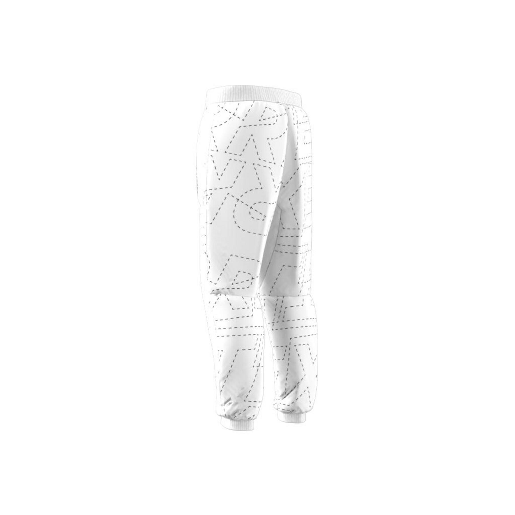 Pants adidas Terrex PrimaLoft Padded