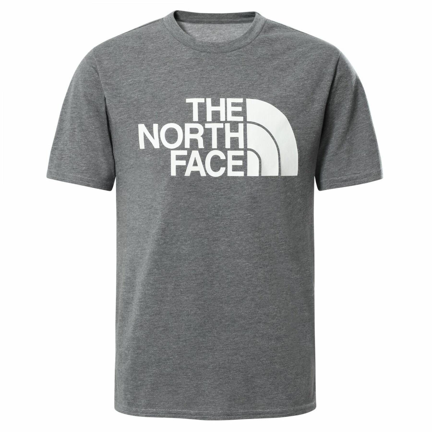 Boy's T-shirt The North Face On Mountain