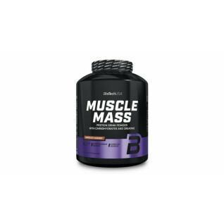 Muscle mass builder Biotech USA - Vanille - 4kg (x2)