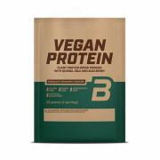 50 packets of vegan protein Biotech USA - Chocolat-cannelle - 25g