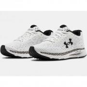 Women's shoes Under Armour HOVR Velociti 3