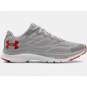 Boy shoes Under Armour Charged Bandit 6