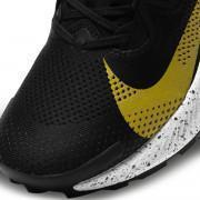 Shoes Nike Pegasus Trail 2
