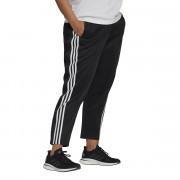Women's trousers adidas Sportswear Wrapped 3-Bandes Snap Grande Taille