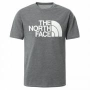 Boy's T-shirt The North Face On Mountain