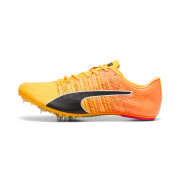 Athletic shoes Puma Teamwear evoSPEED Future 6