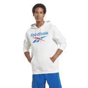 Hooded sweatshirt fleece Reebok Identity Stacked Logo