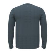 Seamless long sleeve jersey Under Armour Stride
